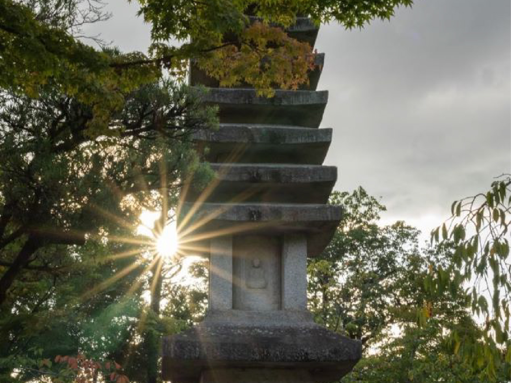 太陽が覗く